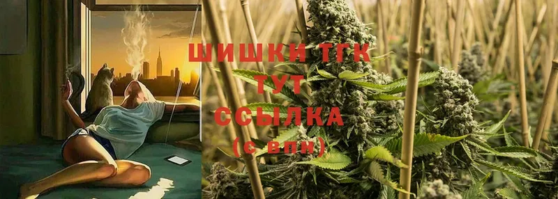 Шишки марихуана SATIVA & INDICA  Аргун 